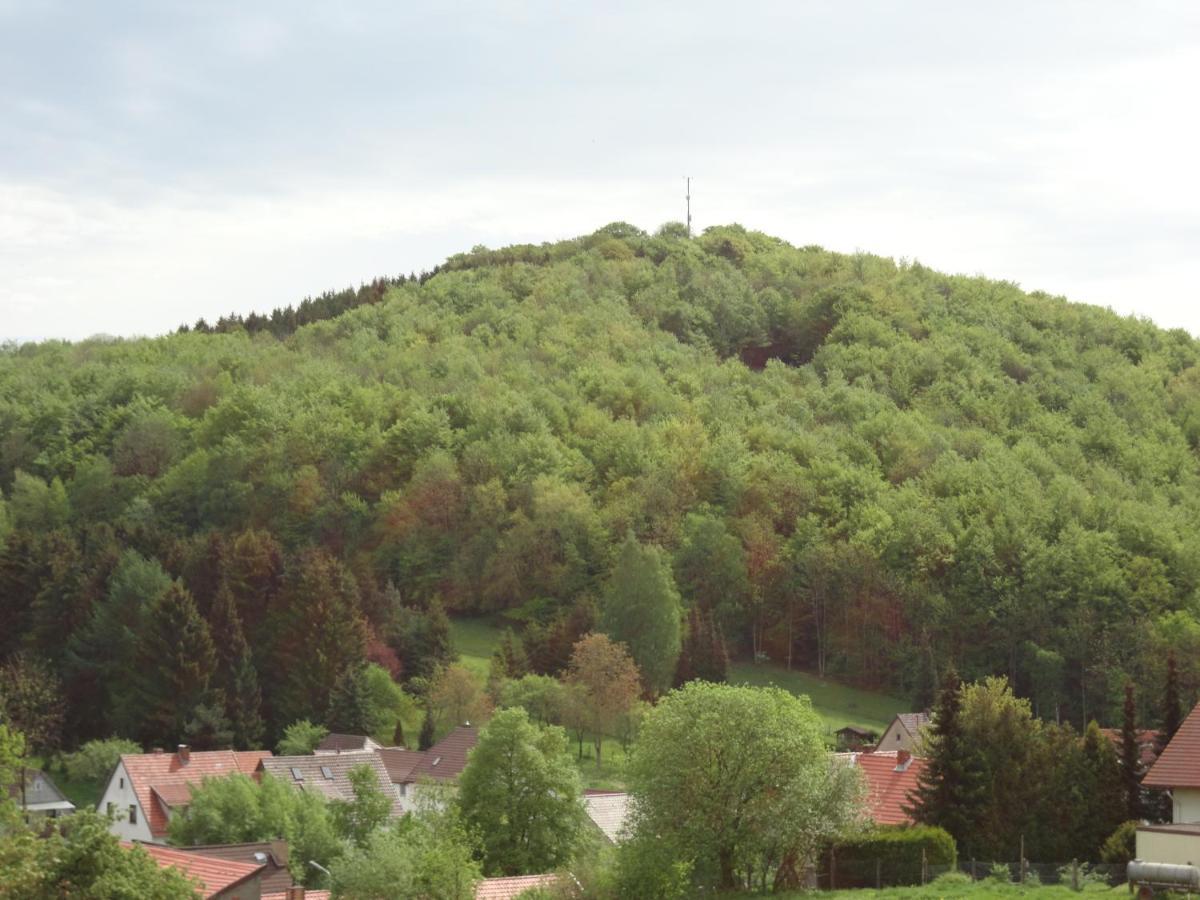 Апартаменти Der Fuchsbau - Fewo Lepetit - Im Sonnigen Harz - Hunde Willkommen - 100M Bis Zum Wald - Free Wlan Бад-Закса Екстер'єр фото