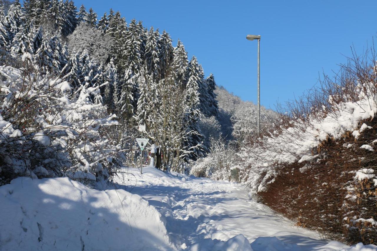 Апартаменти Der Fuchsbau - Fewo Lepetit - Im Sonnigen Harz - Hunde Willkommen - 100M Bis Zum Wald - Free Wlan Бад-Закса Екстер'єр фото